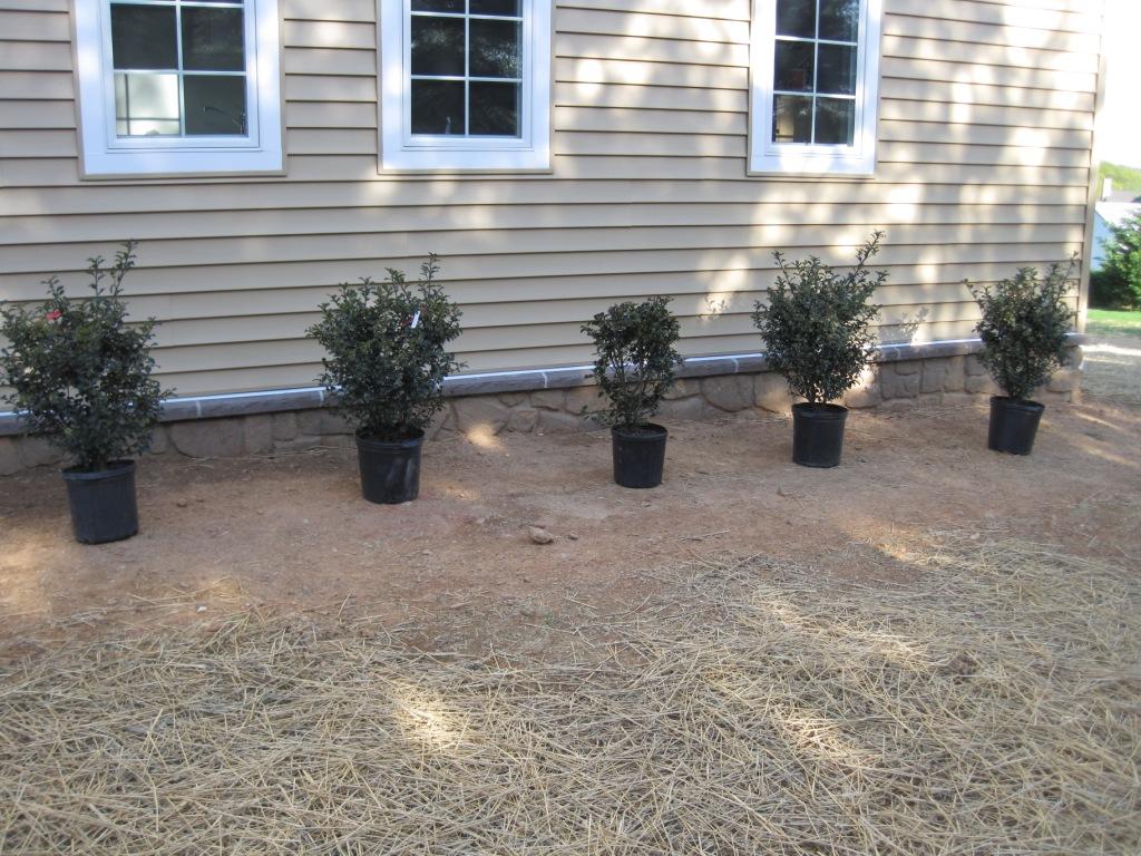 Landscaping