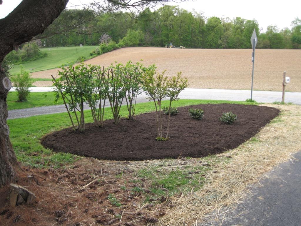 The Street Garden