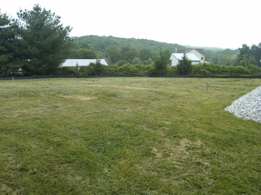 Surveyers Stakes