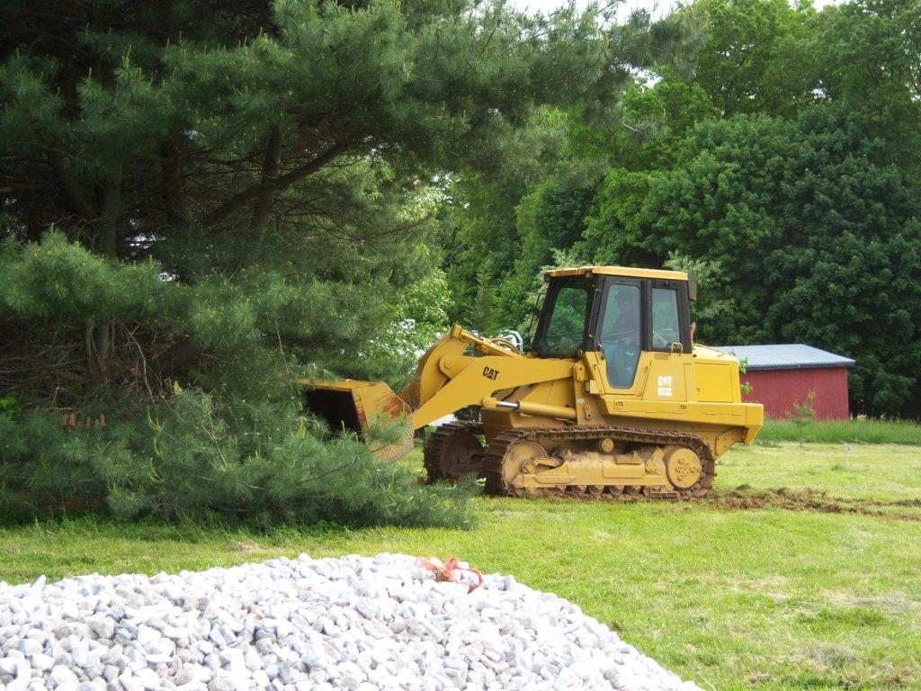 Tree Work
