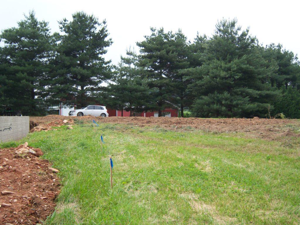 Tree Removal