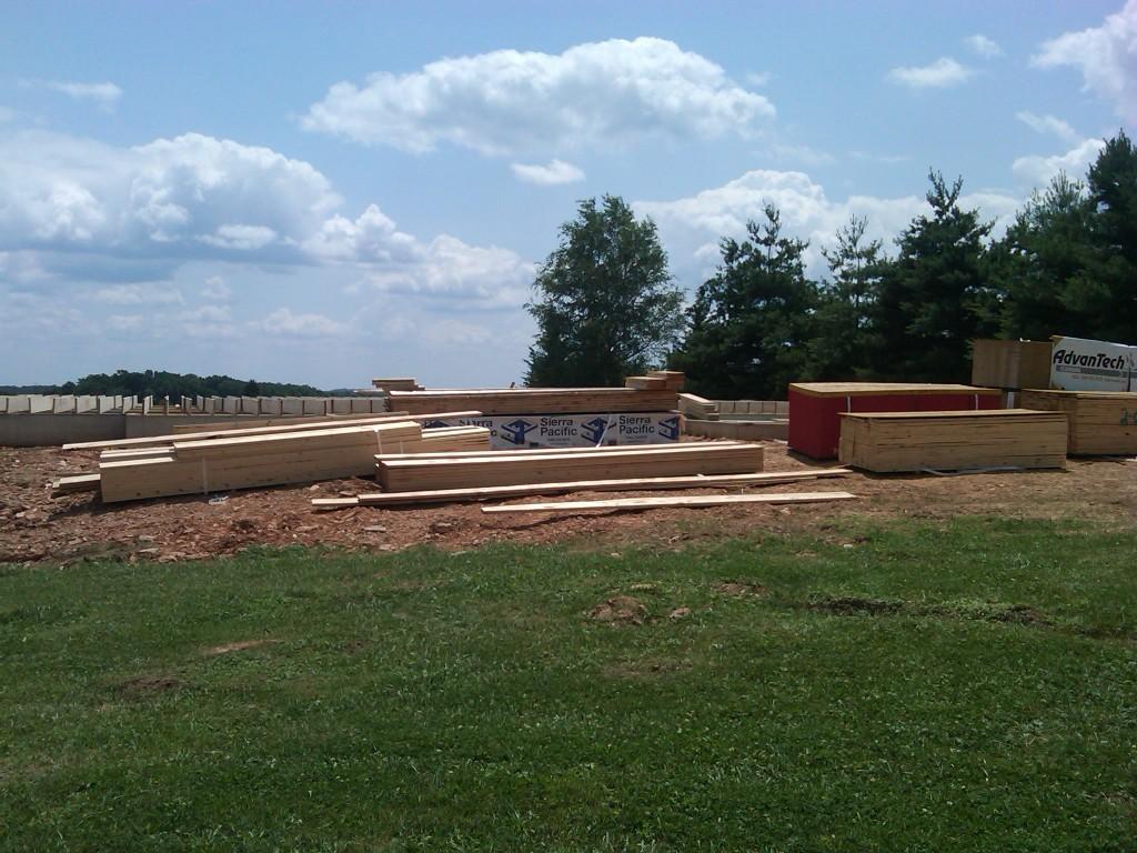 More Wood