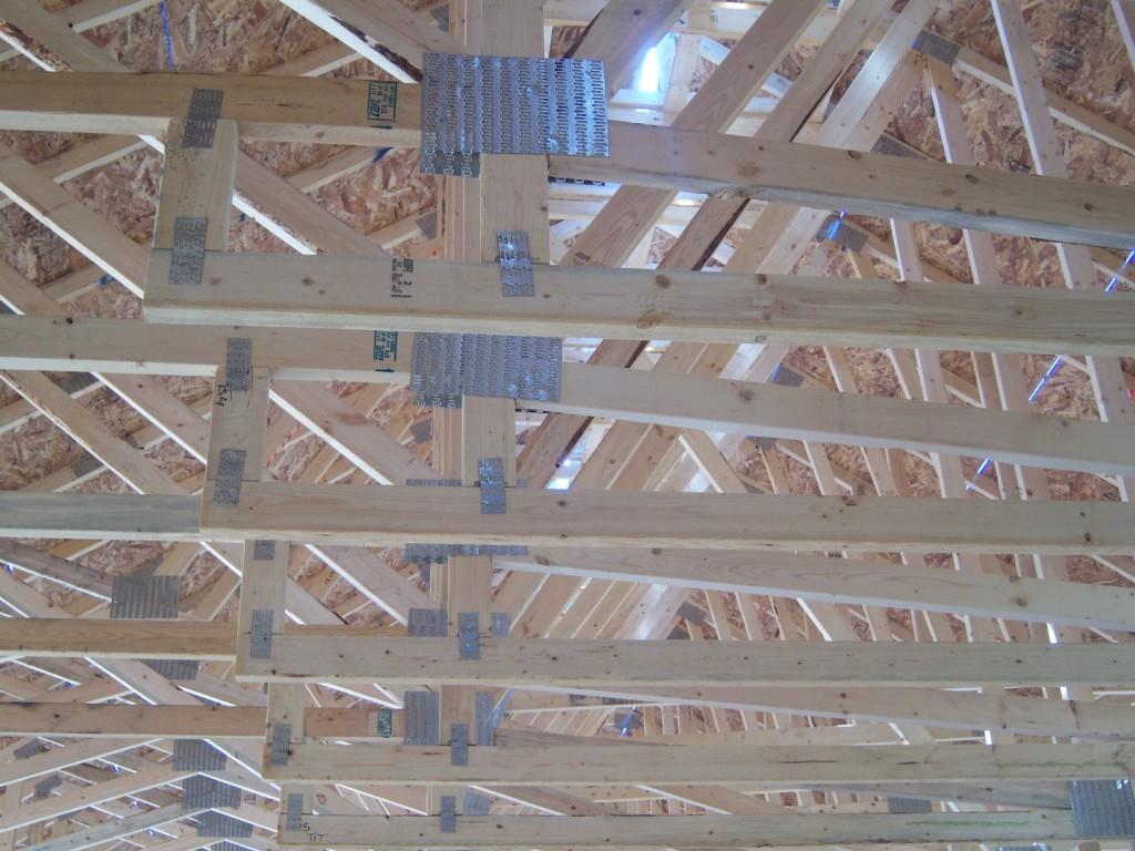 Interior Trusses