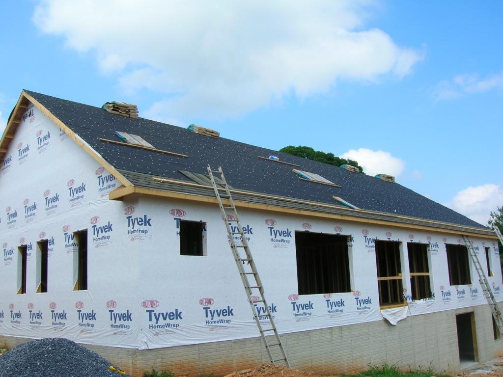 Roof - Back