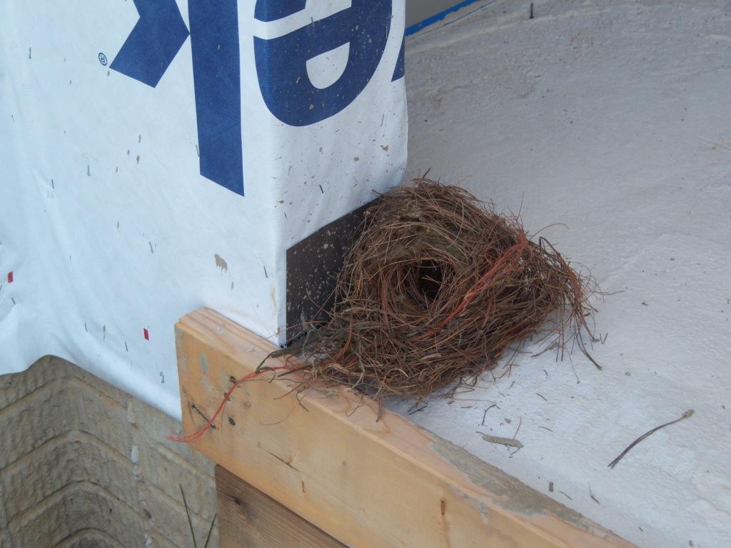 Insulation