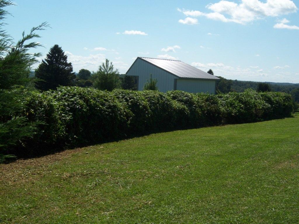 Hedge Row