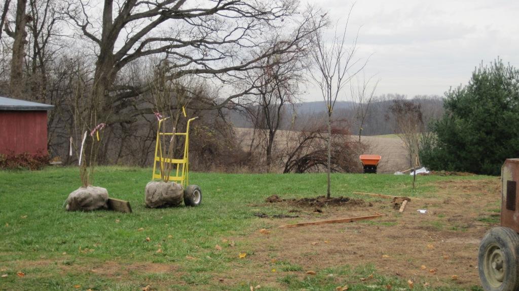 Landscaping