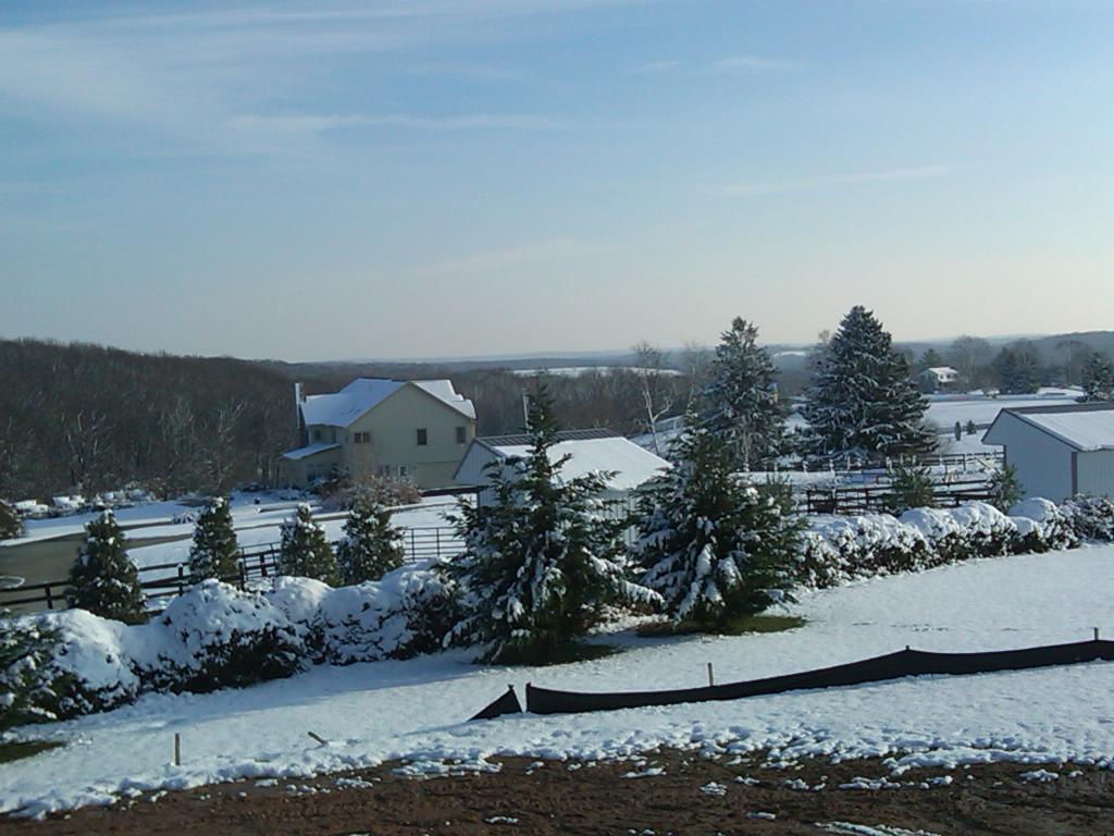 Picture Postcard