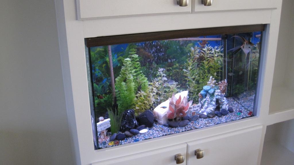 Fish Tank