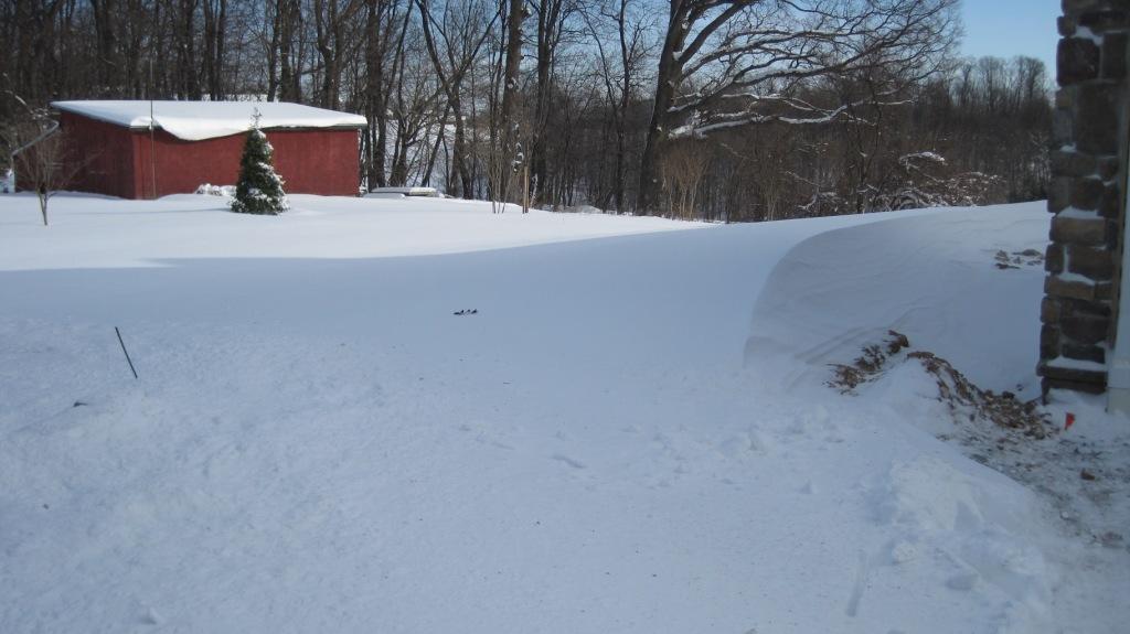 What Sidewalk?