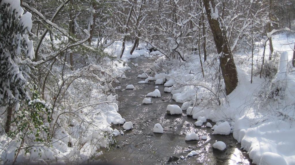 Stream