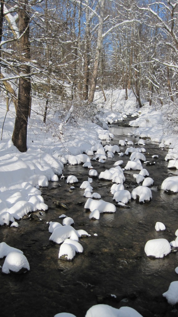 Stream