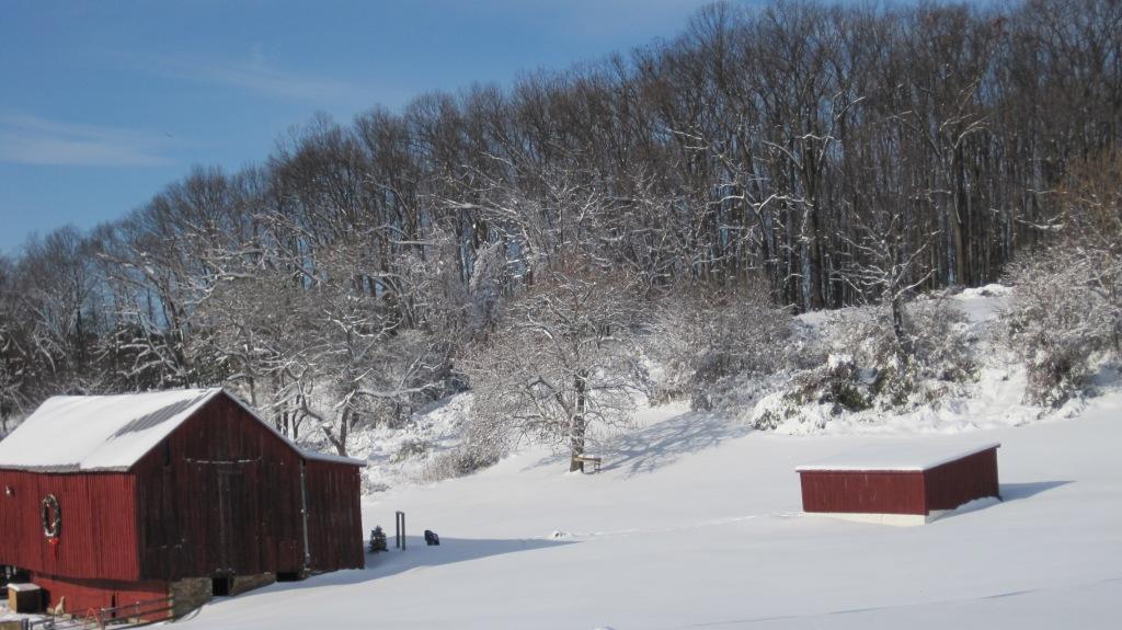 Trenton Road Property