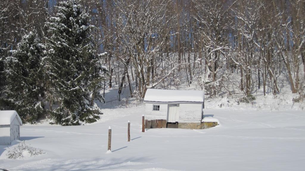 Trenton Road Property
