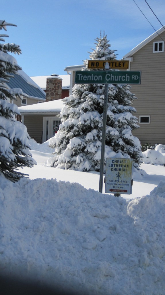 Trenton Road Property