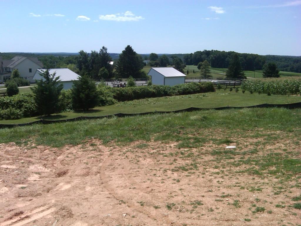 Hedge Row