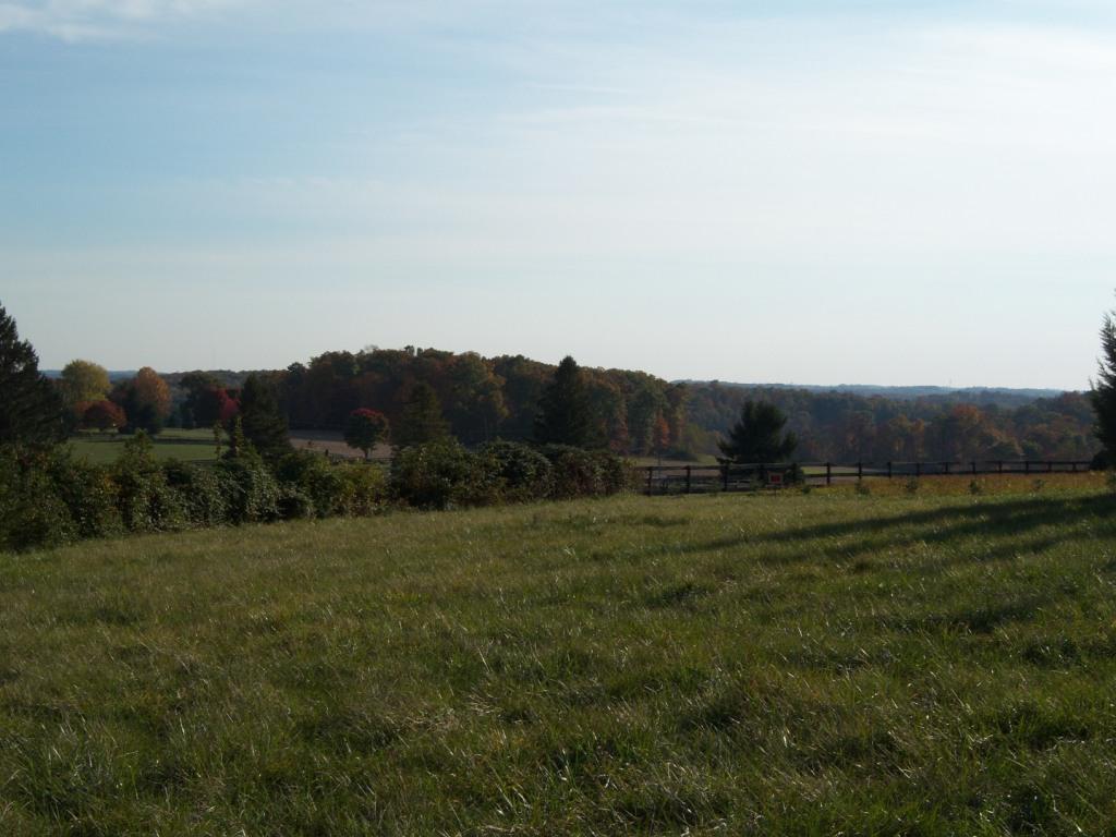 East View