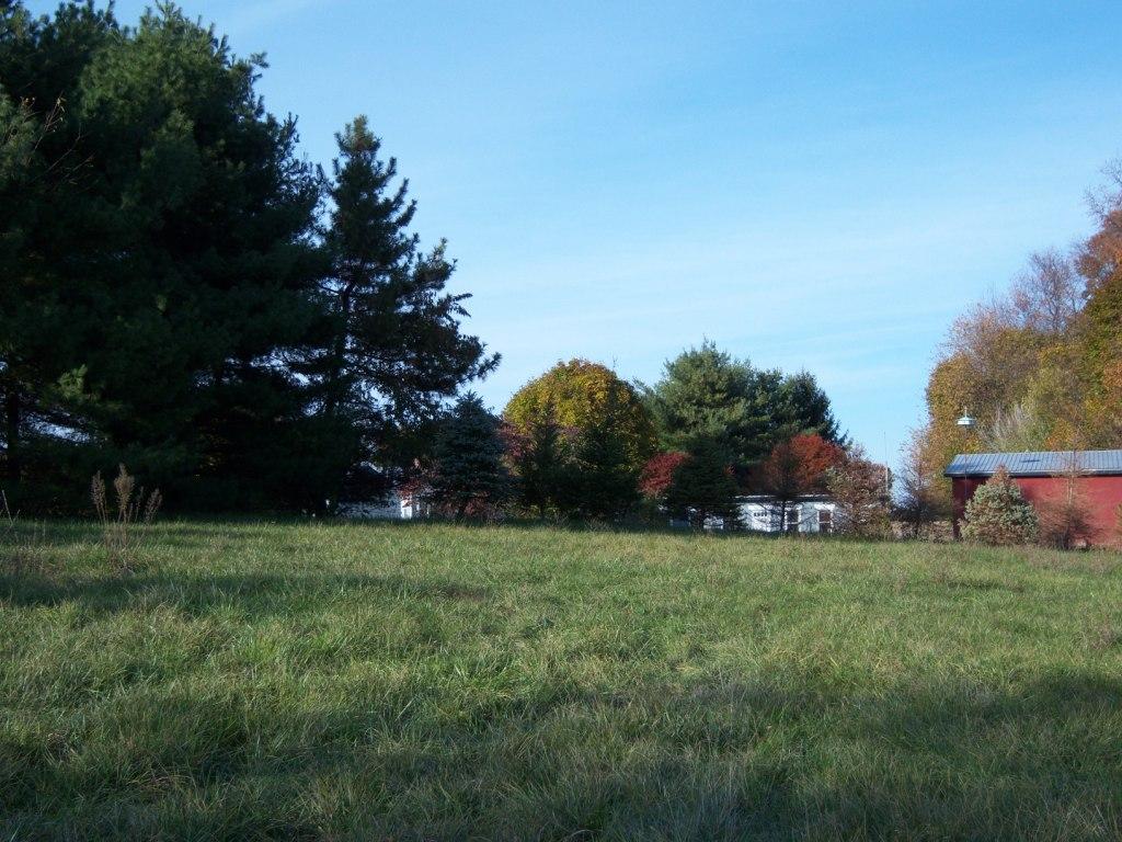 North View