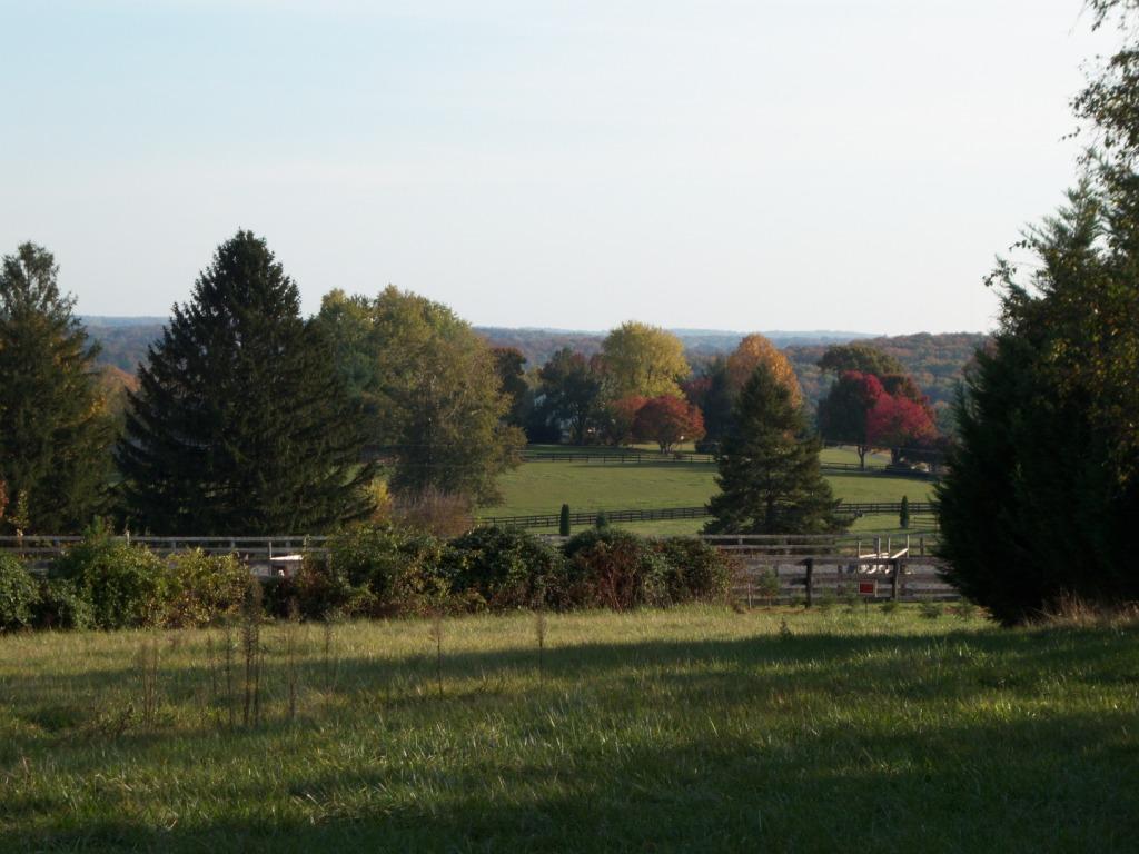 South View
