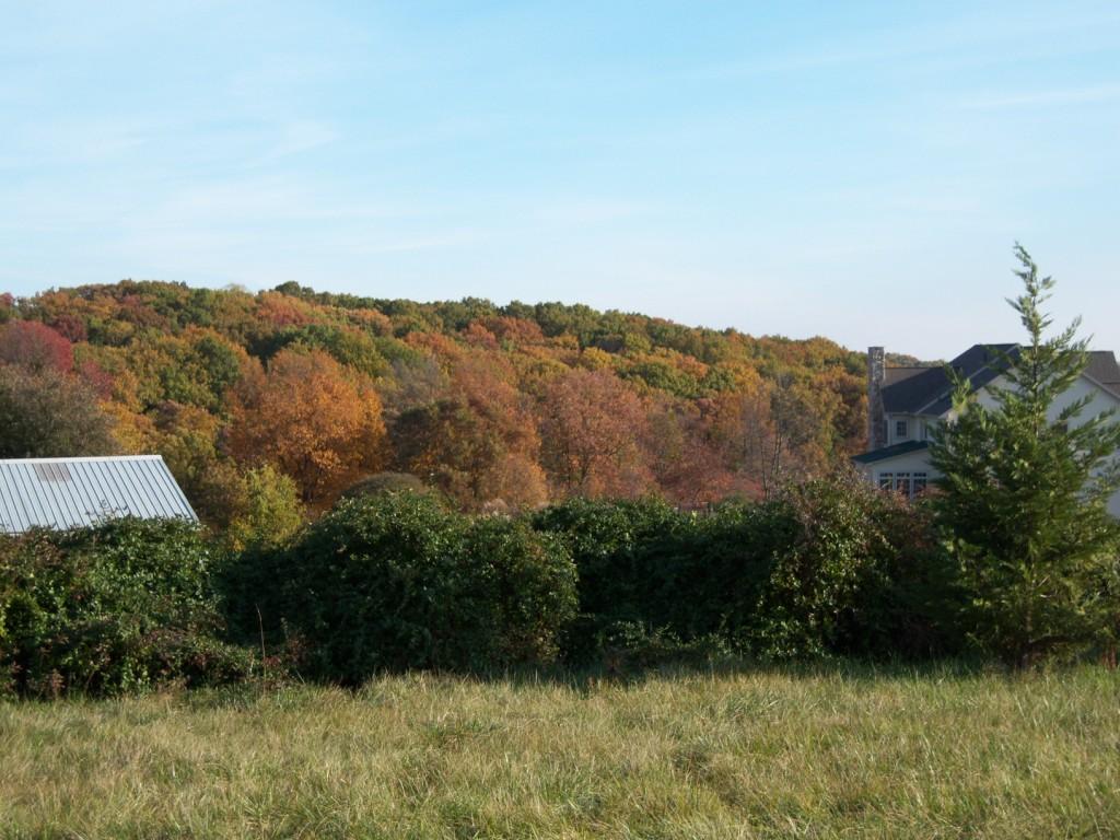 West View